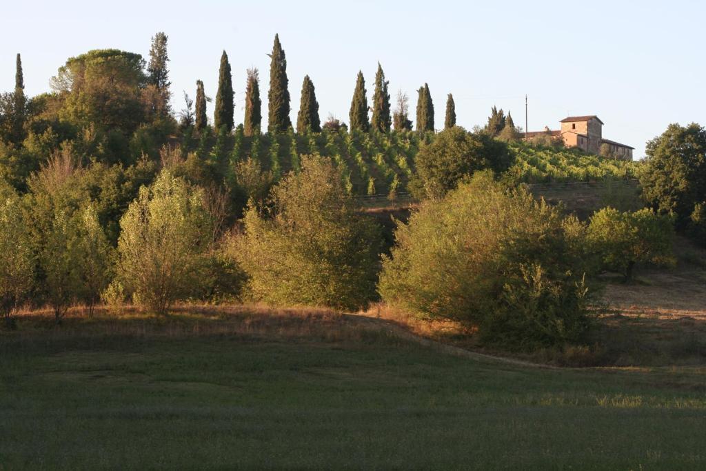 Podere Calcinaia Castelnuovo Berardenga Exterior foto